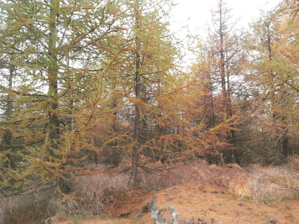 Sneznik Ξενοδοχείο Εξωτερικό φωτογραφία
